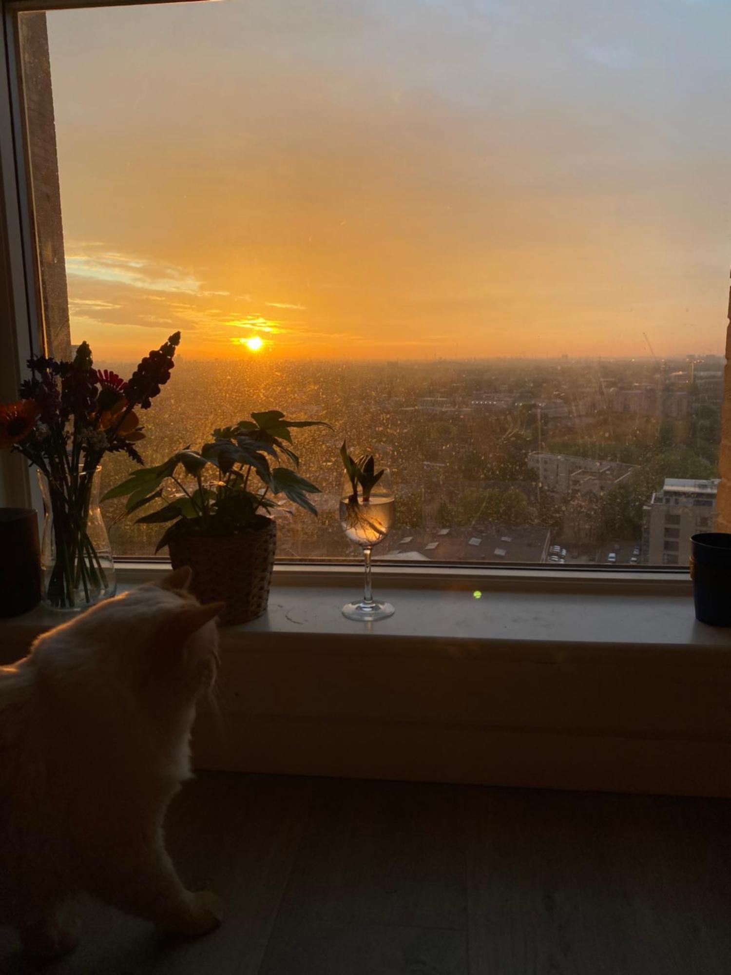 Cozy Flat With Stunning Views Apartment London Luaran gambar